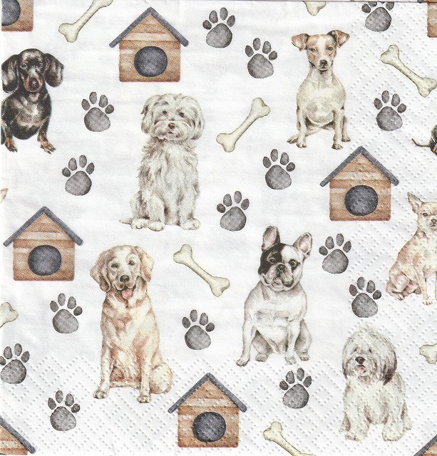 ５枚組ペーパーナプキン＊Pet Dogs