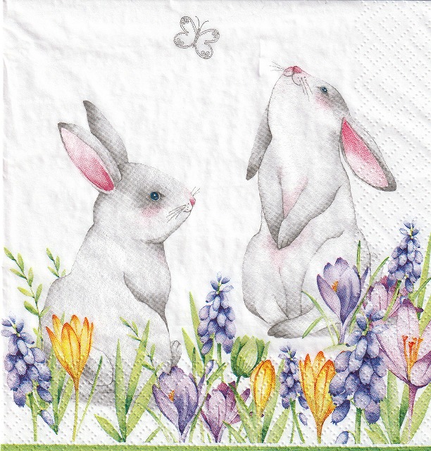 ５枚組ペーパーナプキン＊Bunnies in Spring