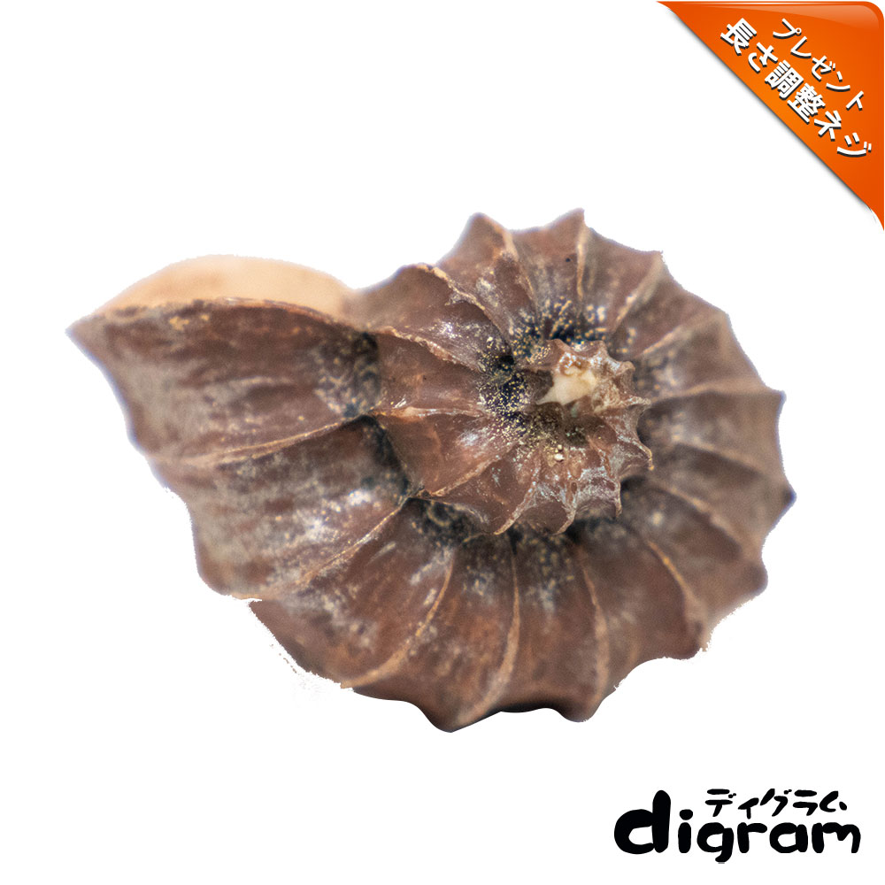 トルシオンスティック・ハンドル(ブラック)