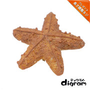 トルシオンスティック・ハンドル(ブラック)