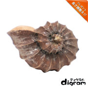 トルシオンスティック・ハンドル(ブラック)