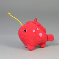 海中散歩　カエルアンコウ