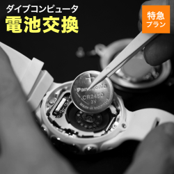 ダイブコンピュータ電池交換+耐圧水没検査【特急プラン】48時間対応