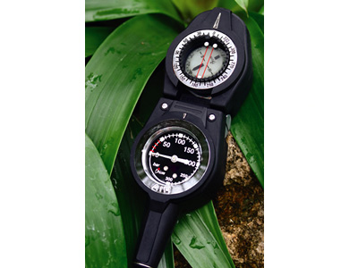 Navigation Gauge