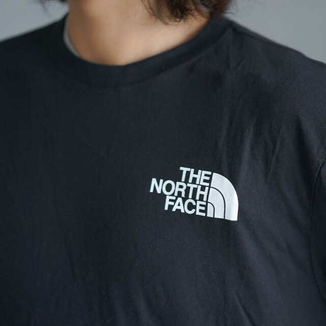 THE NORTH FACE ザノースフェイス ロングtシャツ メンズ 長袖