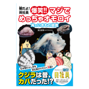 朝だよ！貝社員 爆笑!!マジでめっちゃオモロイ 海のいきもの図鑑
