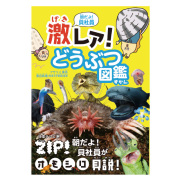 朝だよ！貝社員 激レア！どうぶつ図鑑