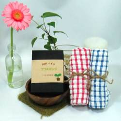 エコたわし　洗剤のいらないエコスポンジ