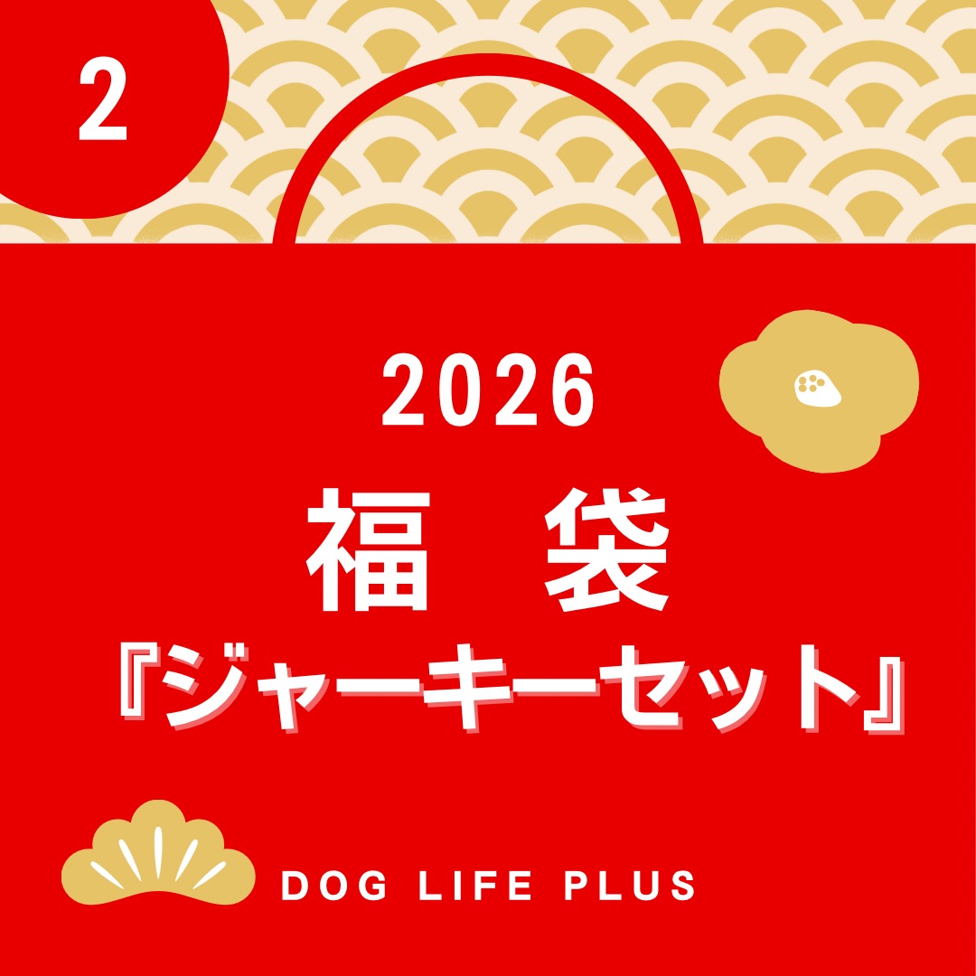 福袋　2026　ジャーキー