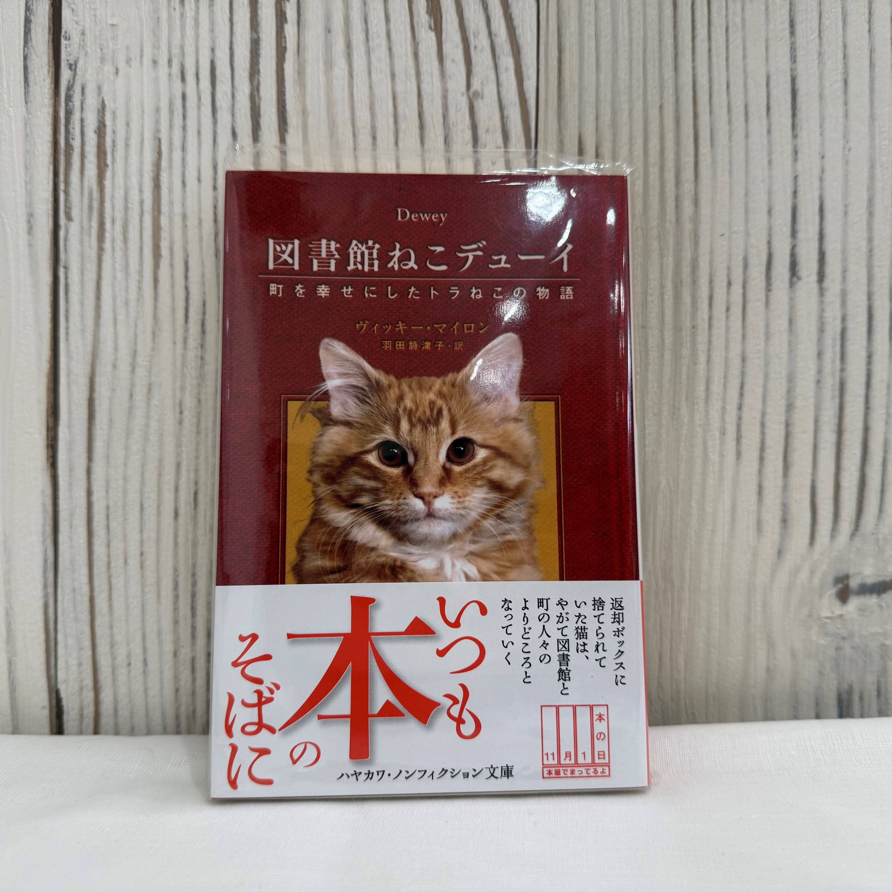 図書館ねこデューイ ―町を幸せにしたトラねこの物語― 【文庫本】（送料200円）