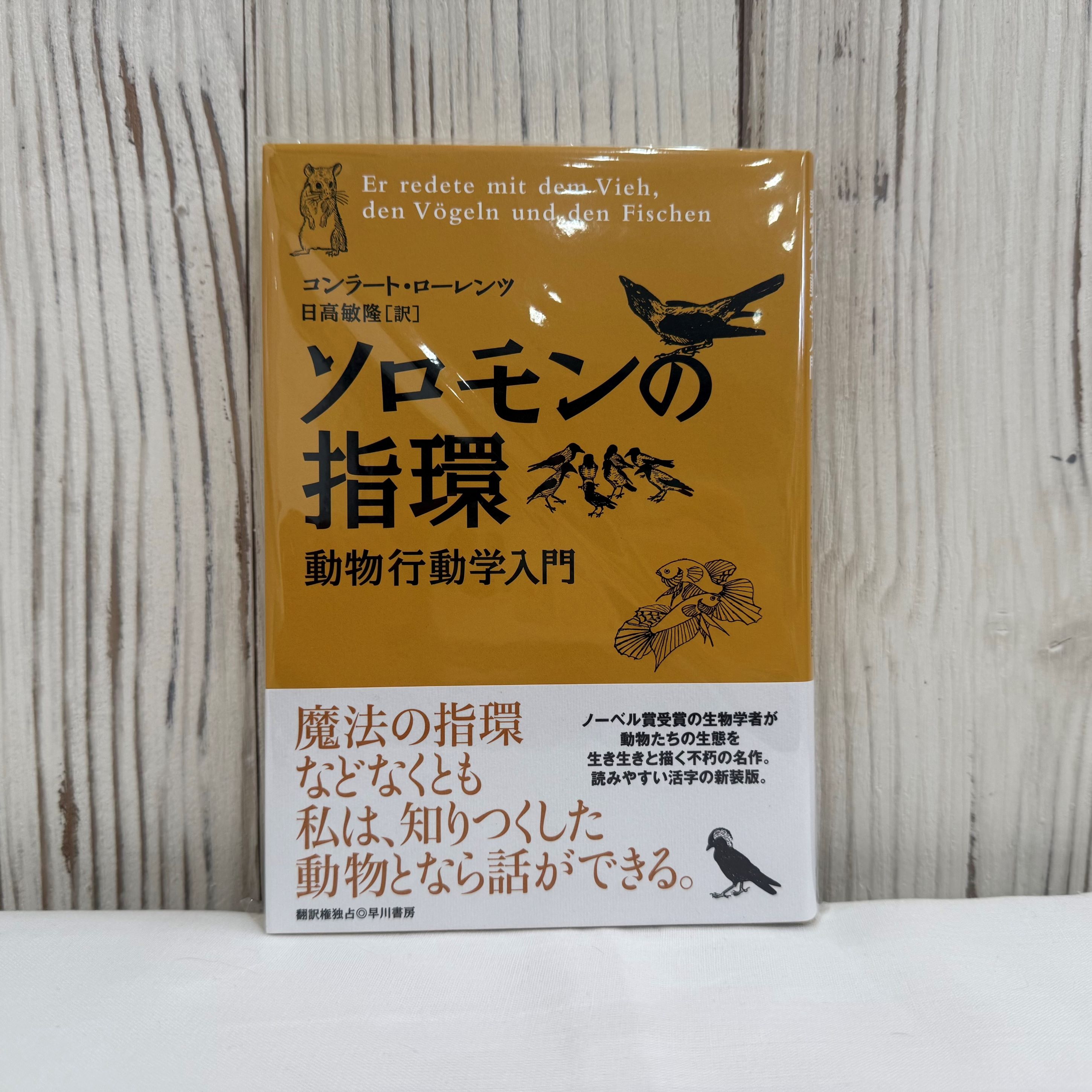 ソロモンの指環 ―動物行動学入門―【単行本】（送料200円）