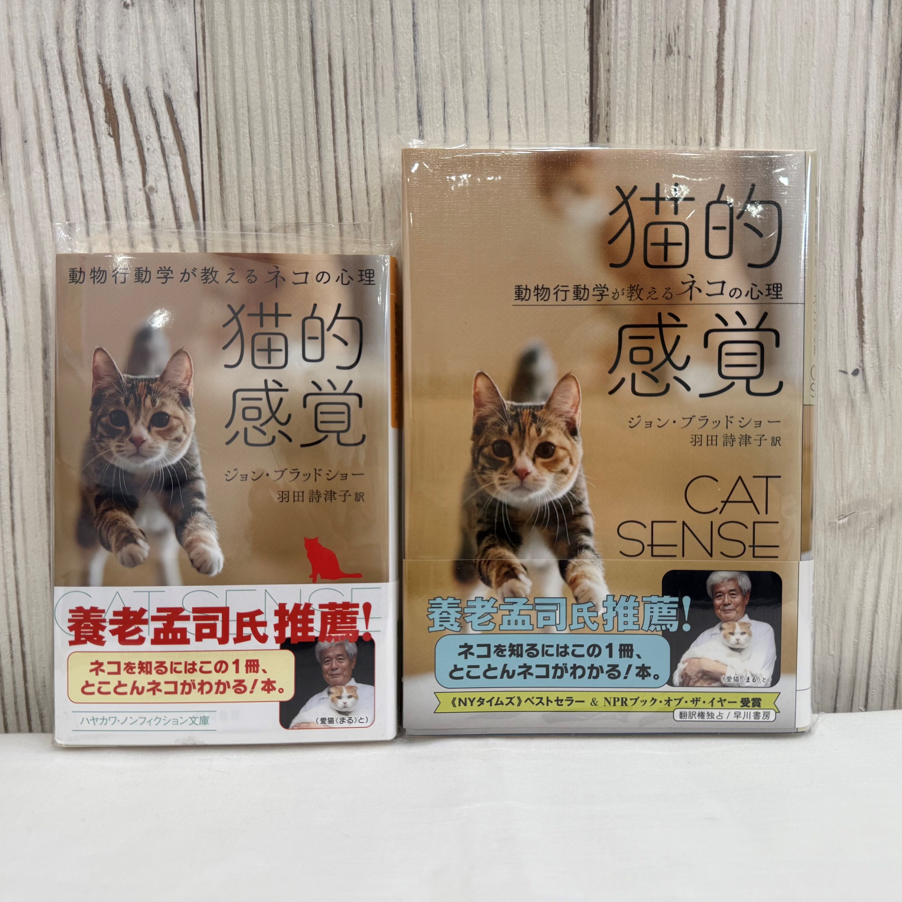 猫的感覚 ―動物行動学が教えるネコの心理― 【文庫本/単行本】（送料200円）