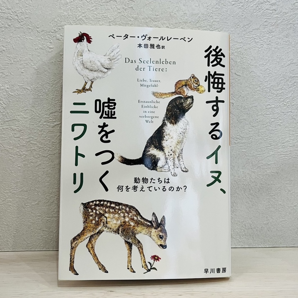 後悔するイヌ、嘘をつくニワトリ