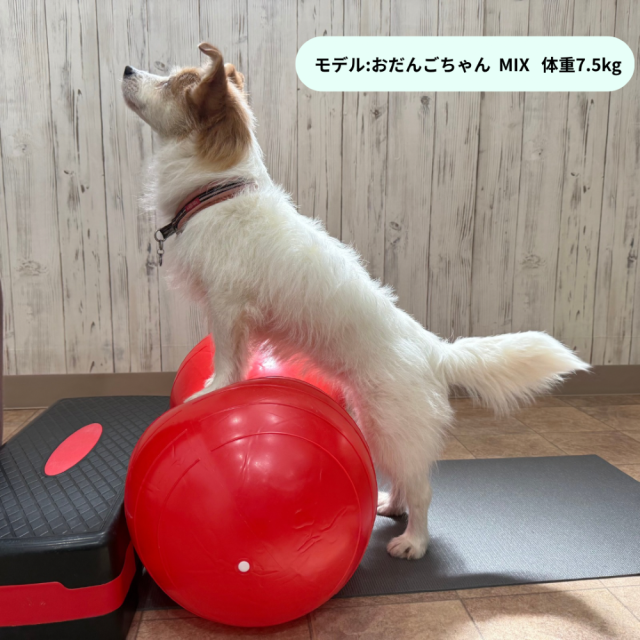 バランスボール