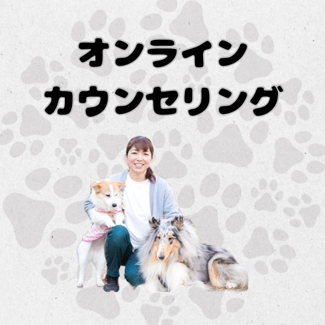 オンラインカウンセリング