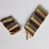 鹿中落ち骨付きカルビ