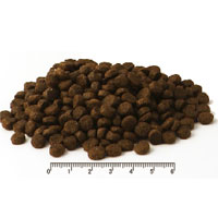 フィッシュ４ドッグ　スーペリア　ウェイトコントロール