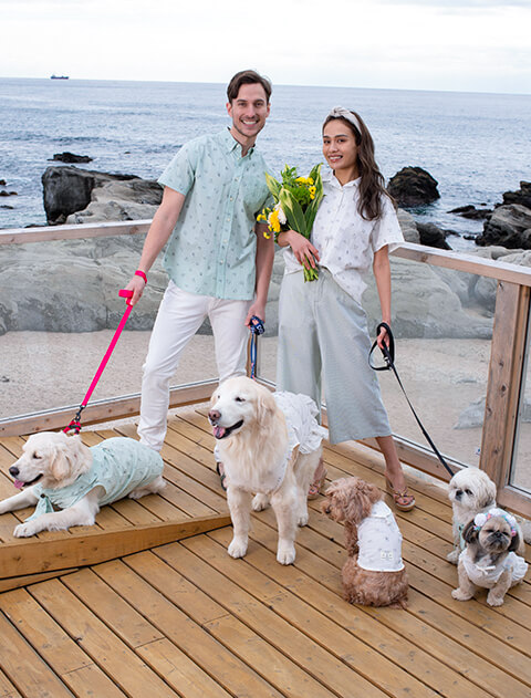 Women 犬柄 サッカーシャツ Dog Dept ドッグデプト オンラインショッピング