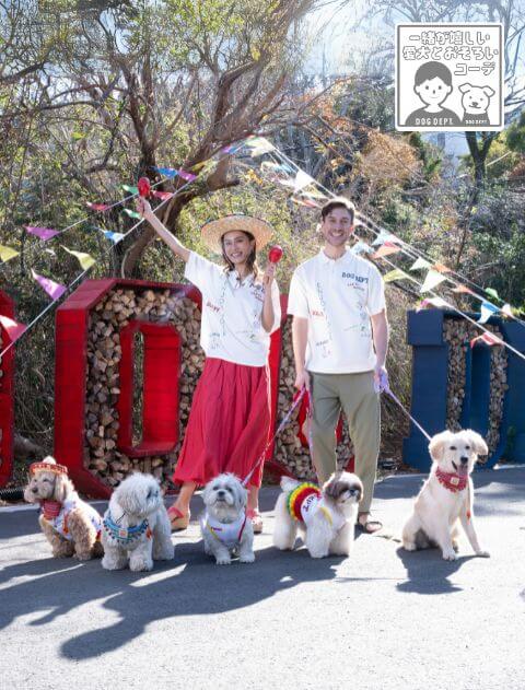 ブランドのドッグデプト/DOG DEPT