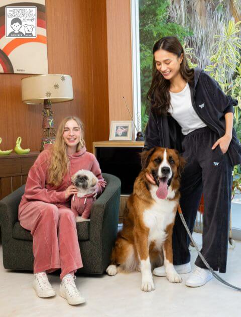 ブランドのドッグデプト/DOG DEPT