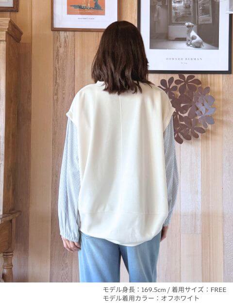 ストライプ切り替えバルーンクルー   ブランドのドッグデプト/DOG DEPT