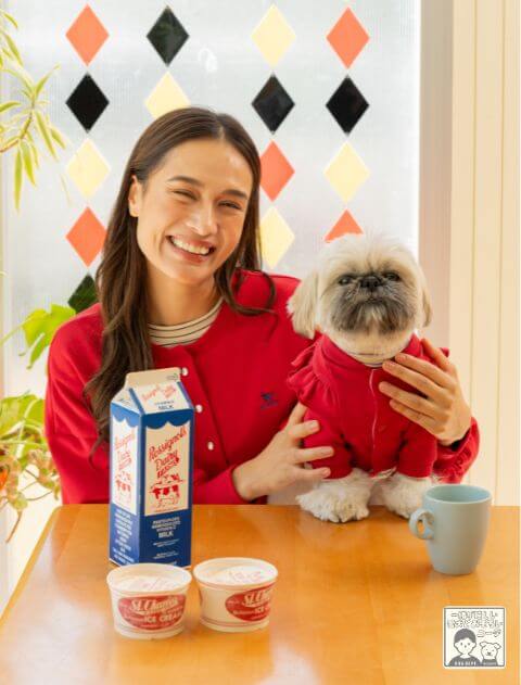 ブランドのドッグデプト/DOG DEPT