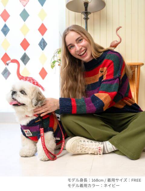 カラフルボーダークルーニット   ブランドのドッグデプト/DOG DEPT