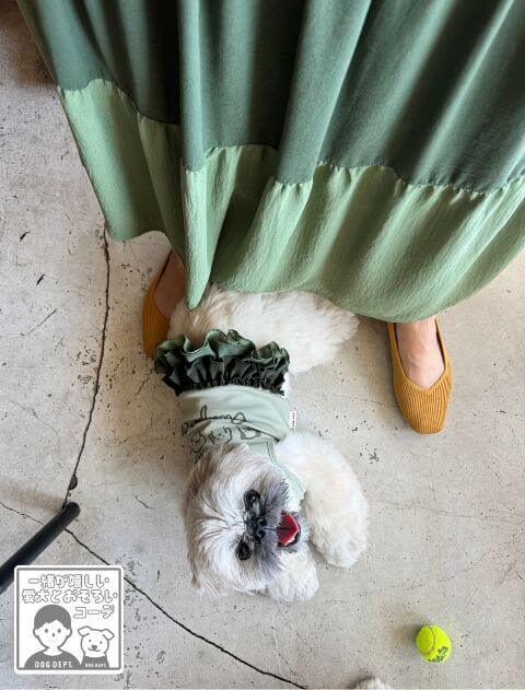 スカート THEREDTHREAD THEREDTHREAD / ザレッドスレッド】S w skirt thread