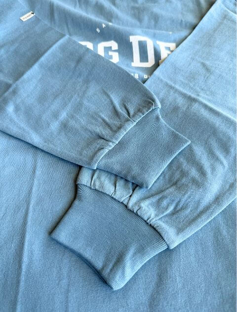 ロゴプリントロンT   ブランドのドッグデプト/DOG DEPT