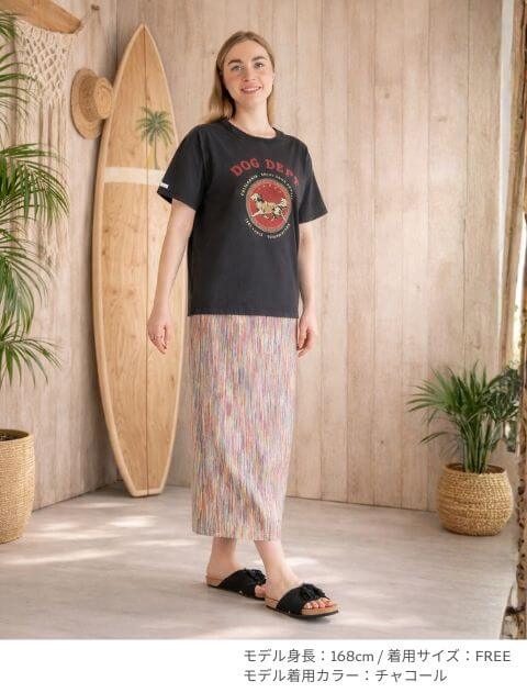 USAクラシック　Tシャツ   ブランドのドッグデプト/DOG DEPT