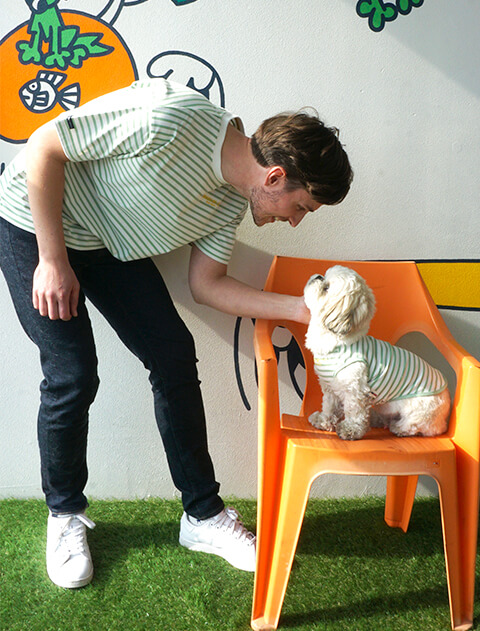 ボーダービッグTシャツ  ブランドのドッグデプト/DOG DEPT