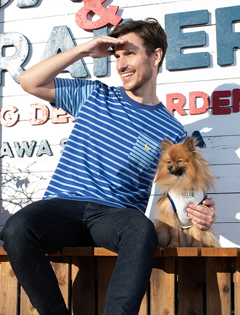 クレイジーボーダーポケットTシャツ ブランドのドッグデプト/DOG DEPT
