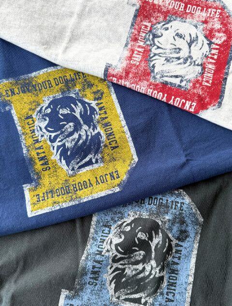カレッジロゴ Tシャツ ブランドのドッグデプト/DOG DEPT