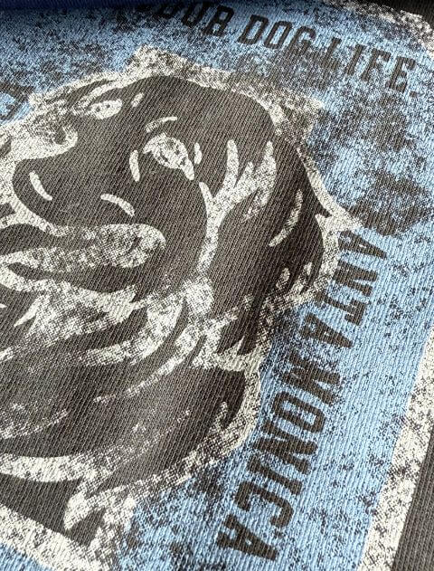カレッジロゴ Tシャツ ブランドのドッグデプト/DOG DEPT