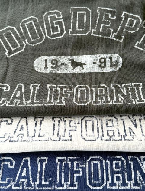 カレッジロゴ Tシャツ ブランドのドッグデプト/DOG DEPT