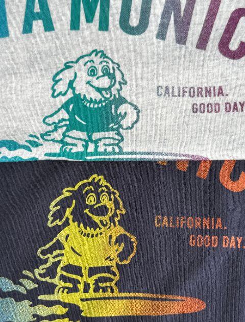 サーフドッグ　 Tシャツ ブランドのドッグデプト/DOG DEPT