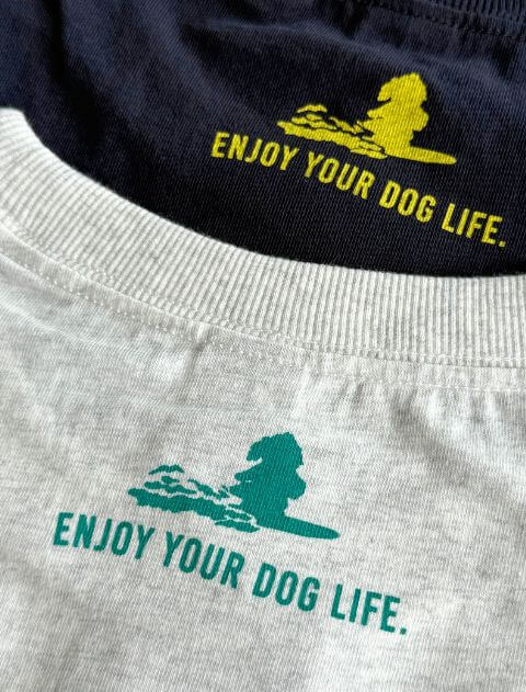 サーフドッグ　 Tシャツ ブランドのドッグデプト/DOG DEPT