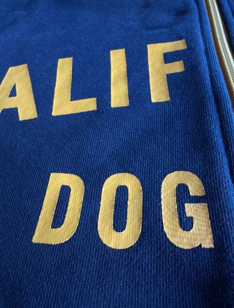 カレッジロゴジップパーカー  ブランドのドッグデプト/DOG DEPT