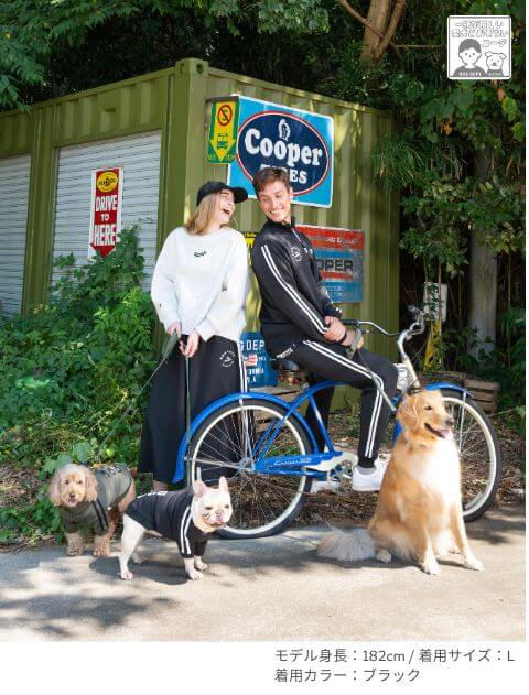 ブランドのドッグデプト/DOG DEPT