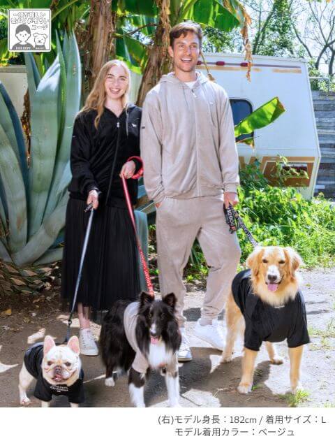 ブランドのドッグデプト/DOG DEPT