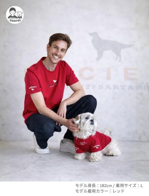 ブランドのドッグデプト/DOG DEPT