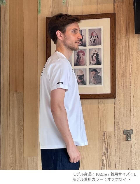  フラッグ復刻ベーシックT  ブランドのドッグデプト/DOG DEPT