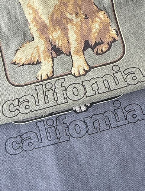 ゴールデンフォトプリント　Tシャツ  ブランドのドッグデプト/DOG DEPT
