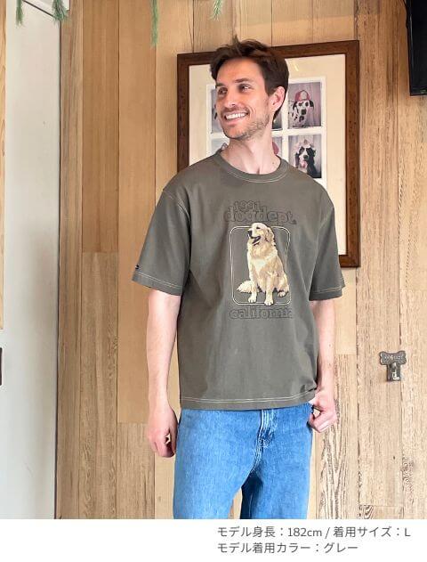 ゴールデンフォトプリント　Tシャツ  ブランドのドッグデプト/DOG DEPT