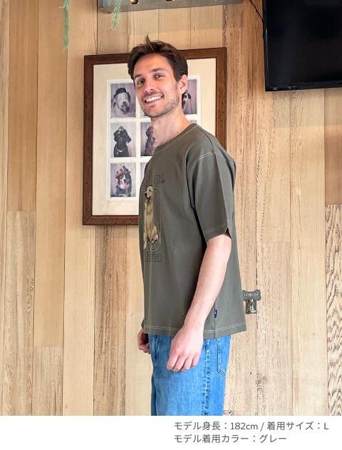 ゴールデンフォトプリント　Tシャツ  ブランドのドッグデプト/DOG DEPT