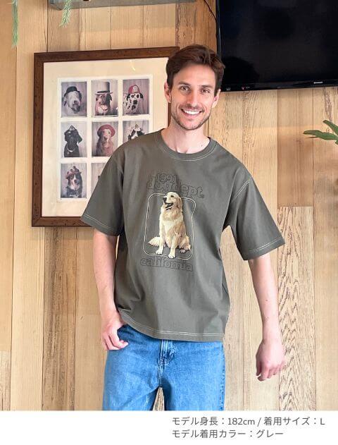 ゴールデンフォトプリント　Tシャツ  ブランドのドッグデプト/DOG DEPT