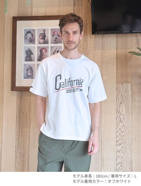 california ヴィンテージロゴTシャツ ブランドのドッグデプト/DOG DEPT