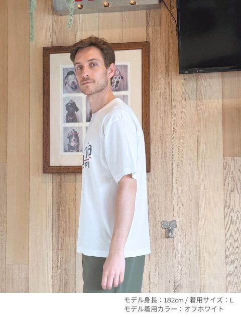 california ヴィンテージロゴTシャツ ブランドのドッグデプト/DOG DEPT