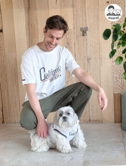 california ヴィンテージロゴTシャツ ブランドのドッグデプト/DOG DEPT