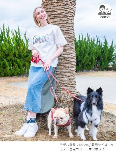 california ヴィンテージロゴTシャツ ブランドのドッグデプト/DOG DEPT
